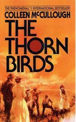 THORN-BIRDS---Avon