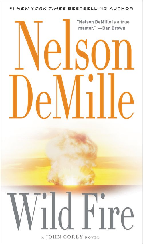 WILD FIRE - Hachette