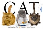 CAT----Simon---Schuster