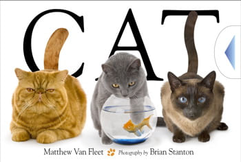 CAT -  Simon & Schuster