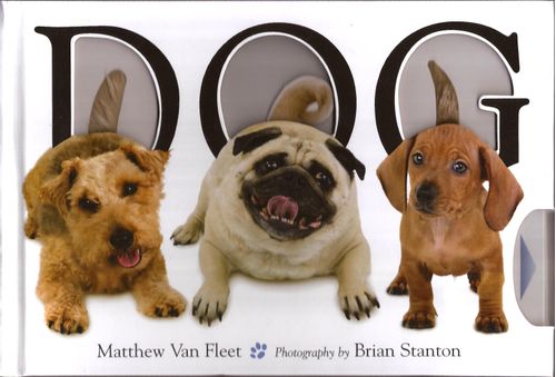DOG -  Simon & Schuster