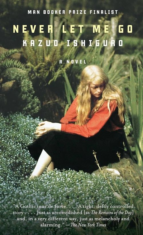 NEVER LET ME GO - Vintage USA