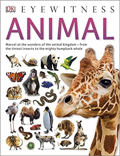 ANIMAL---Eyewitness-Guide