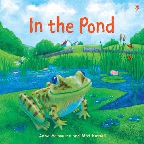 IN THE POND - Usborne Picture Book