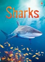 SHARKS - Usborne Beginners