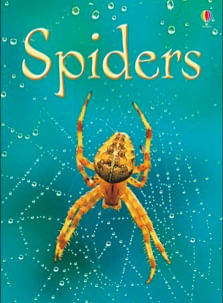 SPIDERS - Usborne Beginners