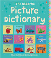 USBORNE PICTURE DICTIONARY,THE