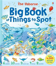 BIG-BOOK-OF-THINGS-TO-SPOT---Usborne