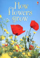 HOW FLOWERS GROW - Usborne Beginners