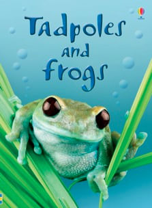 TADPOLES AND FROGS - Usborne Beginners