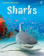 SHARKS - Usborne Discovery