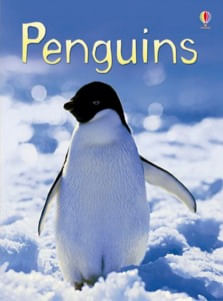 PENGUINS - Usborne Beginners