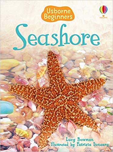 SEASHORE - Usborne Beginners