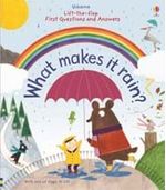 WHAT-MAKES-IT-RAIN----Usborne-Lift-the-flap