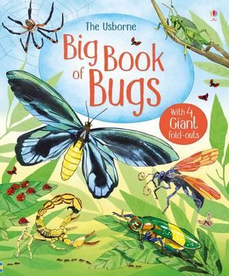 BIG BOOK OF BIG BUGS - Usborne **New Edition**