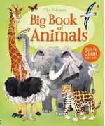 BIG-BOOK-OF-BIG-ANIMALS---Usborne---New-Edition--