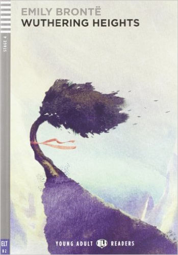 WUTHERING HEIGHTS - Young Adult HUB Stage 4 *N/E*