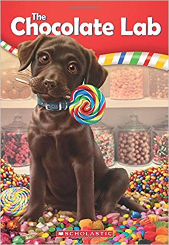 CHOCOLATE LAB, THE 1 - Scholastic - Kel Ediciones
