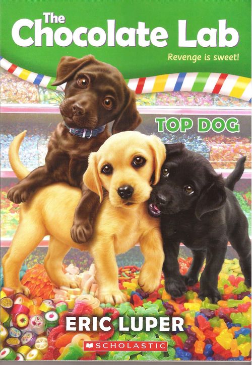 CHOCOLATE LAB,THE 3  : TOP DOG - Scholastic