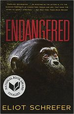 APE-QUARTET-1--ENDANGERED---Scholastic