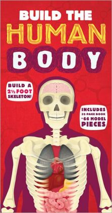 BUILD THE HUMAN BODY