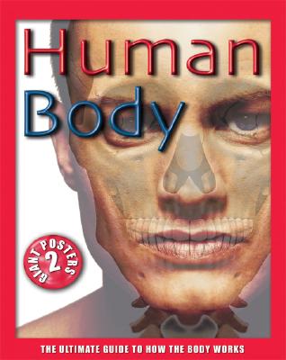 HUMAN-BODY--Ultimate-Guide-Series