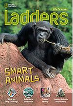 LADDERS-4--SMART-ANIMALS