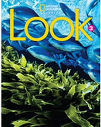 LOOK 3 -      WORKBOOK *British*