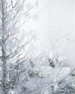 WHITE-CHRISTMAS---Classic-Notecards