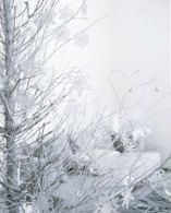 WHITE CHRISTMAS - Classic Notecards