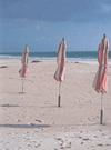COASTAL-STYLE---Mini-Notebooks