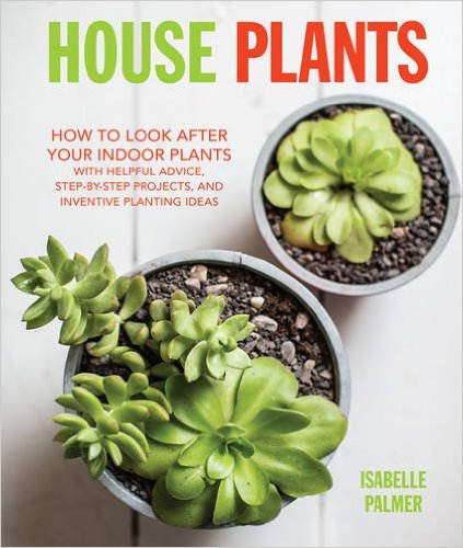 HOUSE PLANTS - Ryland Peters & Small