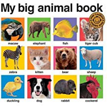 MY BIG ANIMAL BOOK