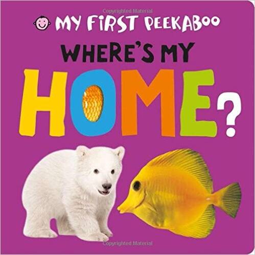 HOME? - My First Peekaboo
