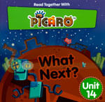 PICARO-14--WHAT-NEXT-