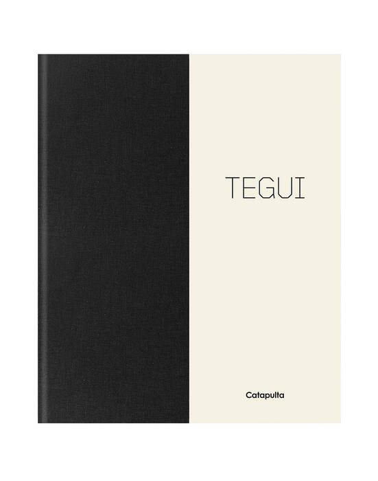 TEGUI--CON-APENDICE-EN-INGLES---Catapulta