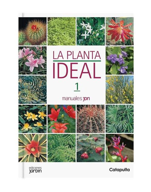 LA PLANTA IDEAL - Catapulta