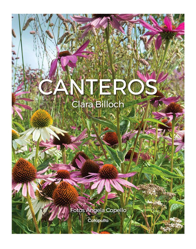 CANTEROS----Catapulta