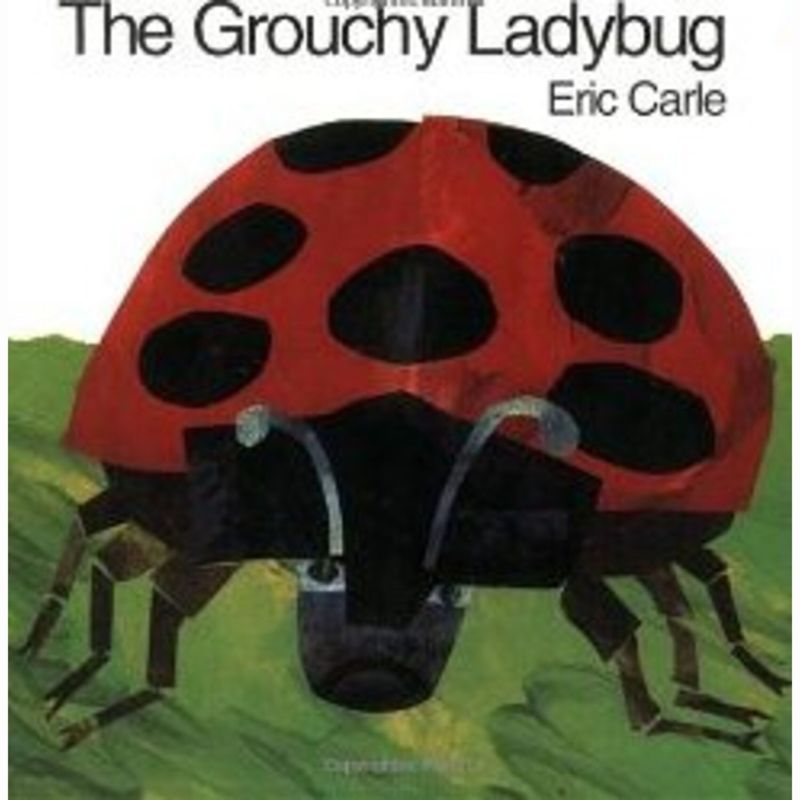 GROUCHY-LADYBUGTHE