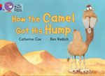 HOW-THE-CAMEL-GOT-HIS-HUMP---BAND-02A-Red-BAND-08-Purple--Big-Cat-Phonics-Progress