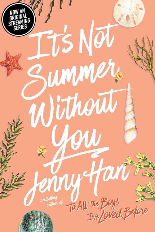 IT´S NOT SUMMER WITHOUT YOU - Aladdin