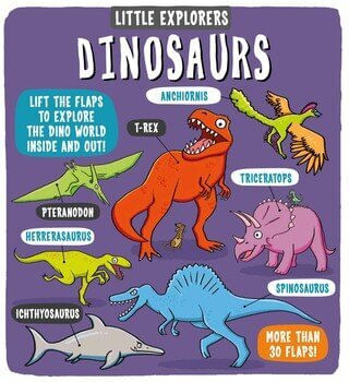 LITTLE EXPLORERS  : DINOSAURS - Little Bee Books