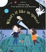 WHAT-S-IT-LIKE-IN-SPACE----Usborne-Lift-the-flap