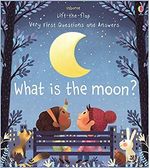 WHAT-IS-THE-MOON----Usborne-Lift-the-Flap