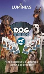 LUMINIAS---DOG-BREEDS--Ingles-