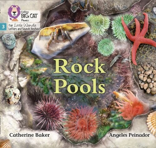 ROCK POOLS Phase 3 Set 1 - Big Cat Phonics for Little Wandle Letters and Sounds