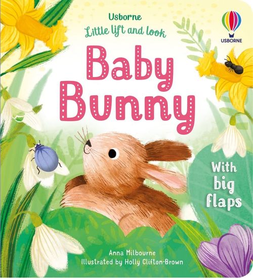 BABY BUNNY - Little lift and look Books