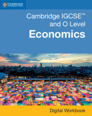 CAMBRIDGE IGCSE AND O LEVEL ECONOMICS -  Digital Workbook *2nd Ed*