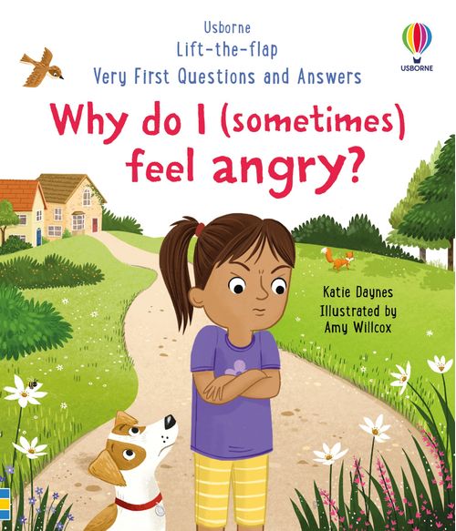 WHY DO I (SOMETIMES) FEEL ANGRY? - Very First Questions and Answers