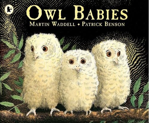 OWL BABIES - Walker *New Edition*